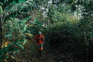 BIB: 
                            <button type="button" onclick="openModal(25659671)" class="btn btn-primary btn-sm float-right btn-popup" data-toggle="modal" data-target=".modal-high-quality">
                        <i class="fas fa-shopping-cart"></i> Add to Cart
                    </button>
                                            <button type="button" onclick="isThisMe(25659671, true)" class="btn btn-success btn-sm float-right btn-popup btn-isme hidden" data-toggle="tooltip" data-placement="bottom" title="นี่คือรูปของคุณใช่ไหม คลิกที่นี่เพื่อเอาเข้าอัลบั้ม">
                        <i class="fas fa-plus"></i> Add to album
                    </button>
                    <button type="button" onclick="isThisMe(25659671, false)" class="btn btn-warning btn-sm float-right btn-popup btn-isnotme hidden">
                        <i class="fas fa-ban"></i> Remove from album
                    </button>